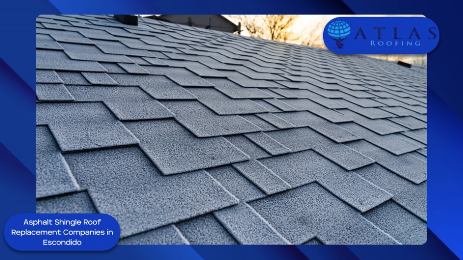 Essential Guide: How Often Should You Replace Your Asphalt Shingle Roof in Escondido?